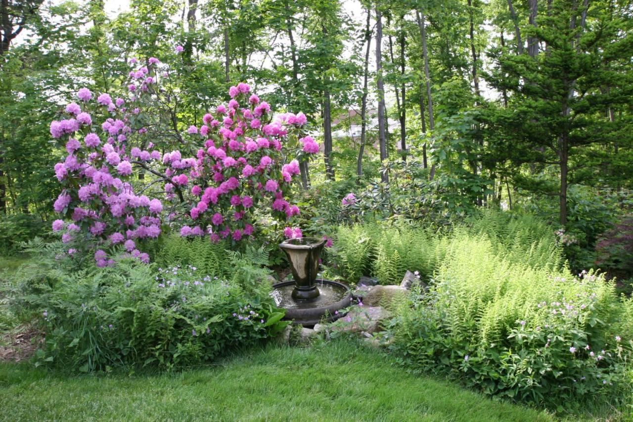 فيتشبيرغ Howarth House Bed And Breakfast المظهر الخارجي الصورة